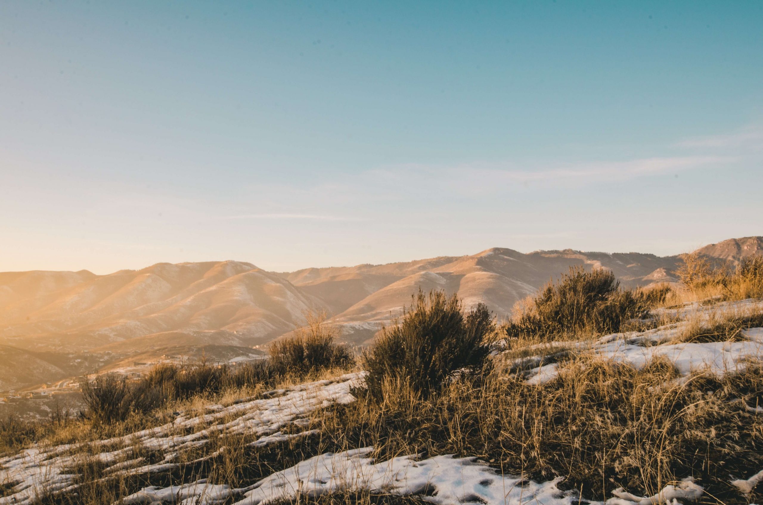 background-landscape